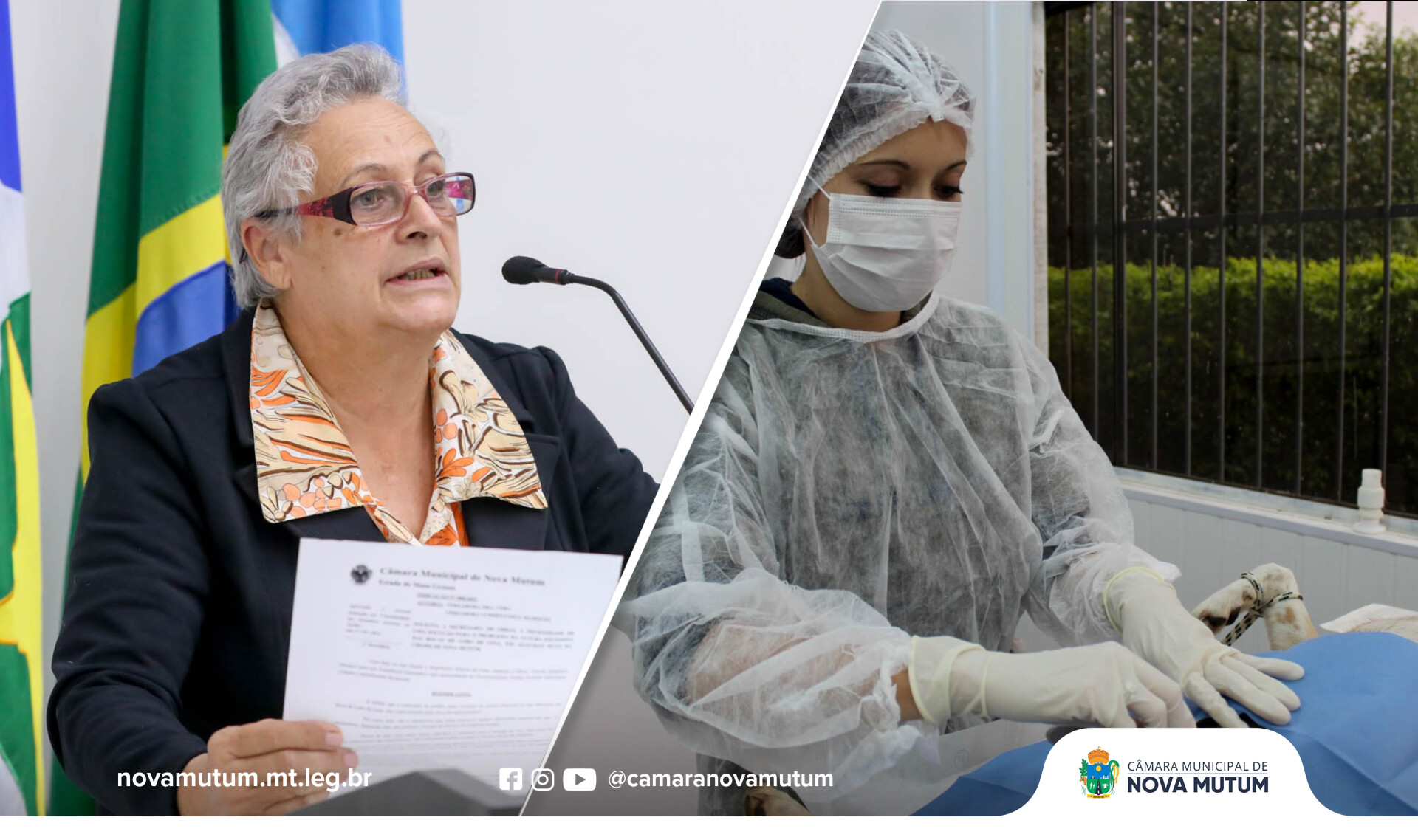 Drª Vera pede que Prefeitura crie programa de castração animal em parceria  com clínicas veterinárias